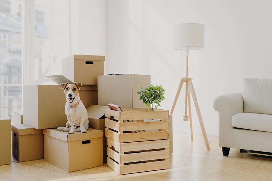 Household Storage
